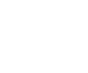 Evolution games at No Bonus Casino